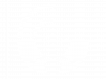 Basics-Sachverstand-logo-W